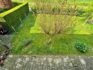 Villa a schiera 4 locali, ottimo stato, Centro, San Martino di Venezze — foto 14 di 19