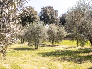 Villa unifamiliare via Barricate 19, Centro, Città della Pieve — foto 18 di 40