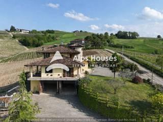 Villa unifamiliare Strada Statale di Canelli, Nizza Monferrato — foto 29 di 41