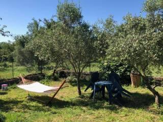 Terratetto plurifamiliare via Paternocchio snc, Centro, Montefiascone — foto 20 di 20