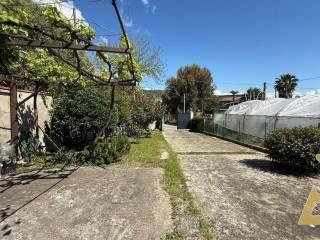 Terratetto unifamiliare Contrada Bonello snc, Centro, Joppolo — foto 14 di 18