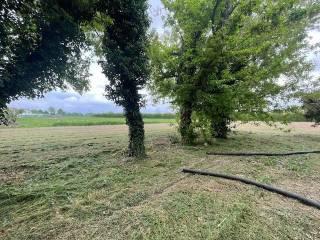 Terratetto unifamiliare 320 m², da ristrutturare, Forlimpopoli