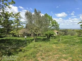 Rustico via Paganico, Piana, Castiglione del Lago — foto 15 di 96