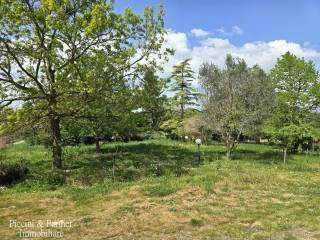 Rustico via Paganico, Piana, Castiglione del Lago — foto 6 di 96