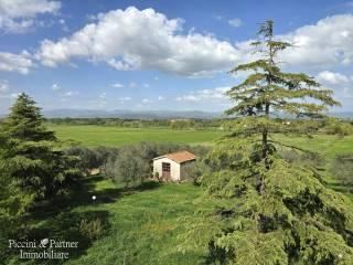 Rustico via Paganico, Piana, Castiglione del Lago — foto 40 di 96