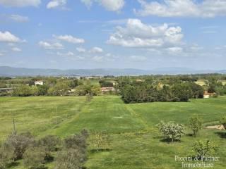 Rustico via Paganico, Piana, Castiglione del Lago — foto 34 di 96