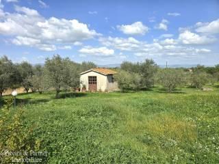 Rustico via Paganico, Piana, Castiglione del Lago — foto 22 di 96