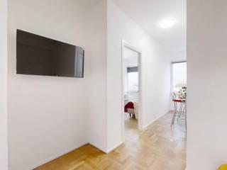 Stanza in affitto in appartamento milano 155, Padova — foto 13 di 18