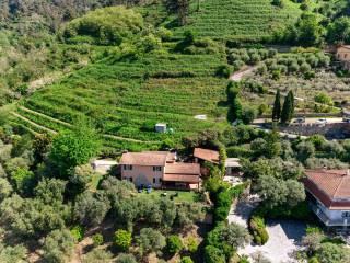 Villa unifamiliare via Balone, 4, Capanne, Prato, Montignoso — foto 10 di 34