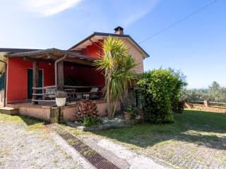 Villa unifamiliare via Balone, 4, Capanne, Prato, Montignoso — foto 12 di 34