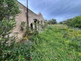 Rustico Contrada Balata di Baida Snc 1, Castellammare del Golfo — foto 14 di 25