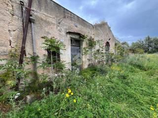 Rustico Contrada Balata di Baida Snc 1, Castellammare del Golfo — foto 7 di 25