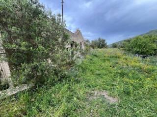 Rustico Contrada Balata di Baida Snc 1, Castellammare del Golfo — foto 20 di 25