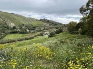 Rustico Contrada Balata di Baida Snc 1, Castellammare del Golfo — foto 25 di 25