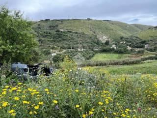Rustico Contrada Balata di Baida Snc 1, Castellammare del Golfo — foto 12 di 25
