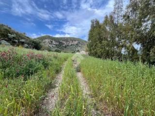 Rustico Contrada Balata di Baida Snc 1, Castellammare del Golfo — foto 19 di 25