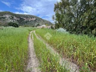 Rustico Contrada Balata di Baida Snc 1, Castellammare del Golfo — foto 10 di 25