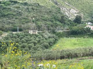 Rustico Contrada Balata di Baida Snc 1, Castellammare del Golfo — foto 17 di 25