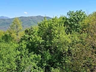 Villa a schiera viale Giuseppe Saragat, Pratarioni, Pozzaglia Sabina — foto 18 di 53