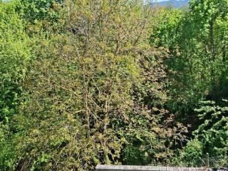 Villa a schiera viale Giuseppe Saragat, Pratarioni, Pozzaglia Sabina — foto 34 di 53