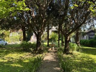 Villa unifamiliare via G. Matteotti 52, Tarcento, 33017, Centro, Tarcento — foto 5 di 50