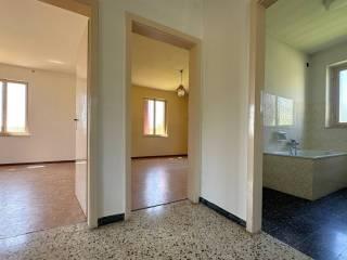 Terratetto unifamiliare via Percoto 1, Treppo Grande, 33010, Treppo Grande — foto 8 di 21