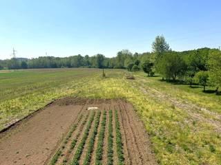 Terratetto unifamiliare via Percoto 1, Treppo Grande, 33010, Treppo Grande — foto 7 di 21