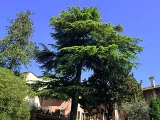 Villa unifamiliare via Mercato 6, Centro, Cervignano del Friuli — foto 15 di 77