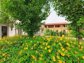 Loft via Gazzolo, San Felice, Cremona — foto 26 di 53