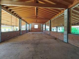 Loft via Gazzolo, San Felice, Cremona — foto 15 di 53