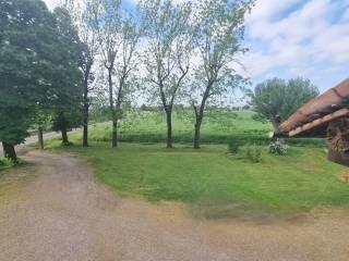 Casale Strada Gazzano 30, San Prospero, Parma — foto 12 di 12