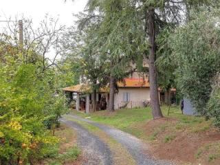 Casa colonica zona Poggio La Mozza, Magliano in Toscana — foto 16 di 21