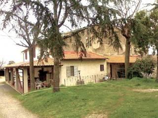 Casa colonica zona Poggio La Mozza, Magliano in Toscana