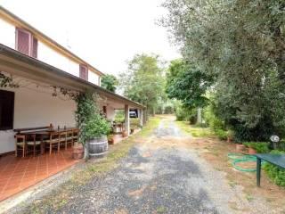 Casa colonica zona Poggio La Mozza, Magliano in Toscana — foto 15 di 21