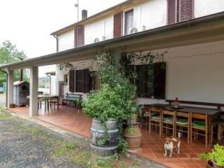 Casa colonica zona Poggio La Mozza, Magliano in Toscana — foto 6 di 21