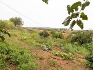 Casa colonica zona Poggio La Mozza, Magliano in Toscana — foto 20 di 21