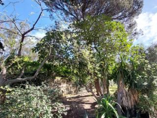 Villa bifamiliare via dei Colli 102, Zona Collinare, Bordighera — foto 18 di 41