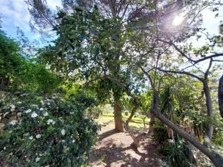 Villa bifamiliare via dei Colli 102, Zona Collinare, Bordighera — foto 40 di 41