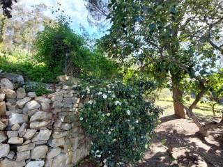 Villa bifamiliare via dei Colli 102, Zona Collinare, Bordighera — foto 27 di 41