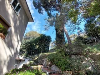 Villa bifamiliare via dei Colli 102, Zona Collinare, Bordighera — foto 29 di 41