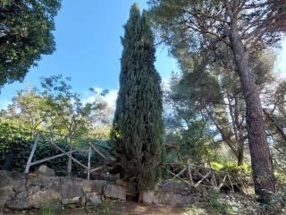 Villa bifamiliare via dei Colli 102, Zona Collinare, Bordighera — foto 7 di 41
