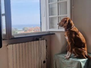 Trilocale via Ca' De Conti, Centro, San Bartolomeo al Mare — foto 17 di 74