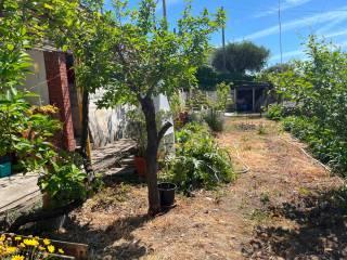 Casale Strada Curbinei, Verezzo, Sanremo — foto 14 di 39