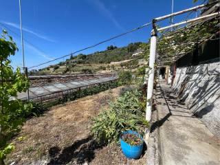 Casale Strada Curbinei, Verezzo, Sanremo — foto 31 di 39
