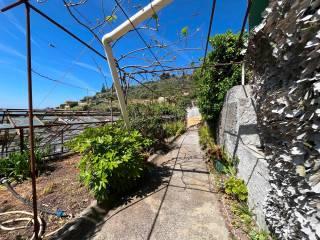 Casale Strada Curbinei, Verezzo, Sanremo — foto 6 di 39