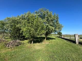 Villa unifamiliare via Marchi, Mazzorno, Taglio di Po — foto 11 di 94