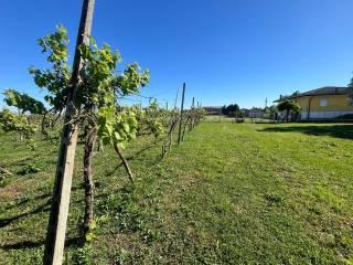 Villa unifamiliare via Marchi, Mazzorno, Taglio di Po — foto 20 di 94