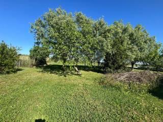 Villa unifamiliare via Marchi, Mazzorno, Taglio di Po — foto 29 di 94