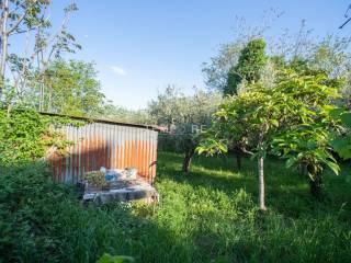 Villa unifamiliare via Umberto 24, Centro, Santa Maria Imbaro — foto 12 di 29