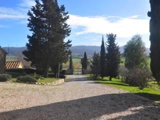 Rustico, ottimo stato, 510 m², Centro, Santa Luce — foto 3 di 33